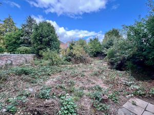 REAT GARDEN- click for photo gallery